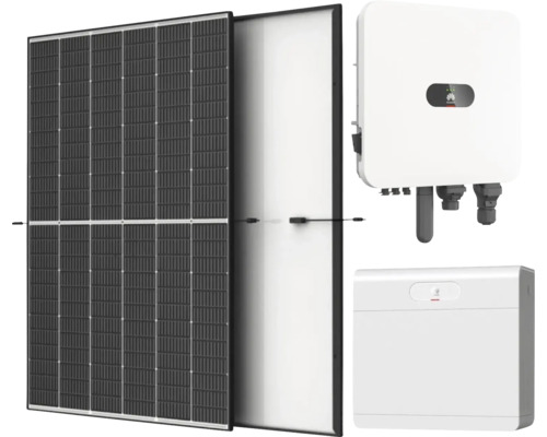 Photovoltaik-Set bestehend aus Solarmodulen, einem Wechselrichter und einem Batteriespeicher.