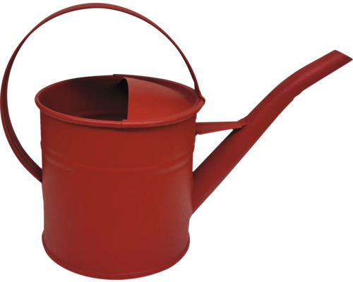 Gießkanne aus Metall mit Griff und Auslauf
