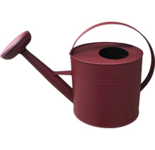 Gießkanne aus Metall