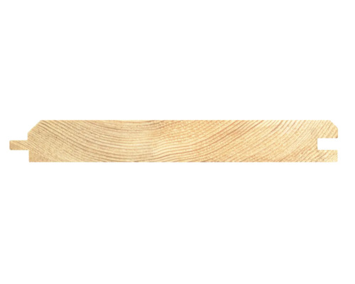 Profilholz aus Holz mit Nut und Feder Profil im Querschnitt.