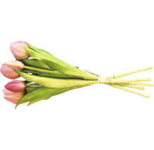 Strauß Tulpen mit rosa Blüten und grünen Blättern.