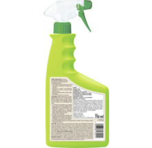 COMPO Spinnen-Raus 750 Milliliter Sprühflasche, Rückansicht des Repellents gegen Spinnen, Mücken und Ameisen auf Geraniolbasis.