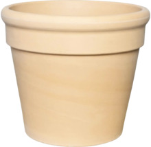 Runder Pflanztopf aus cremefarbener Terracotta mit breitem Rand.