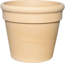 Runder beiger Pflanztopf aus Terrakotta mit breitem Rand.