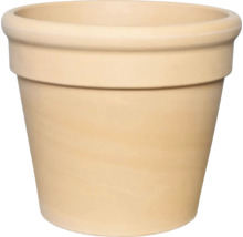 Klassischer Pflanztopf aus Terrakotta in Beige mit breitem Rand.