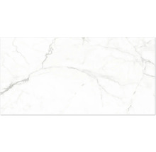 Feinsteinzeugfliese in Marmoroptik mit grauer Maserung für Boden und Wand.