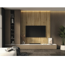 Modernes Wohnzimmer mit Fernseher an Wandpaneelen in Holzoptik, einer Wand aus vertikalen Lamellen, einem niedrigen Sideboard und einem hohen Regal.