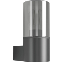 Moderne zylindrische Außenwandleuchte aus anthrazitfarbenem Metall mit transparentem Glas und sichtbarem Leuchtmittel.