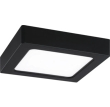 Quadratische LED-Deckenleuchte in Schwarz mit weißem Diffusor.