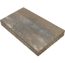 Rechteckiger Pflasterstein aus Beton mit strukturierter Oberfläche in Grau und Beige.