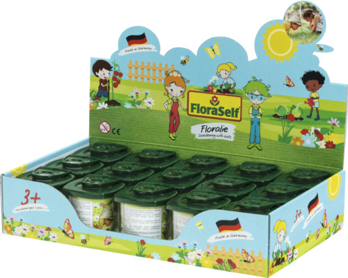FloraSelf Floralie Verkaufsdisplay mit grünen Lupendosen für Kinder ab 3 Jahren, hergestellt in Deutschland.