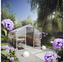 Modernes Gewächshaus mit Aluminiumrahmen und Hohlkammerplatten in einem Garten. Die geteilte Tür ist offen und zeigt Pflanzen auf Regalen.