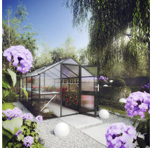 Helles, freistehendes Gewächshaus aus Metall und Polycarbonat in einem organisierten Garten mit Hortensien und einem Schotterweg.