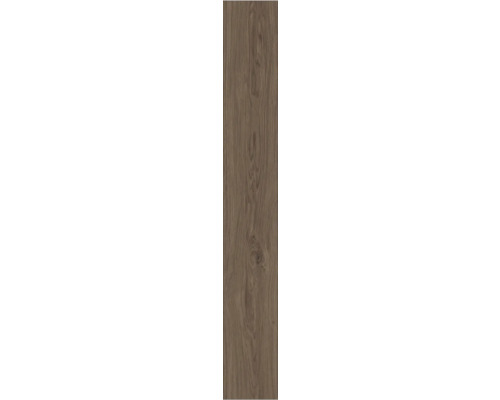 Lange schmale Laminatdiele mit sichtbarer Holzmaserung und kleinem Astloch in Eichenoptik.