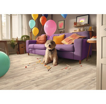 Heller Bodenbelag in Holzoptik in einem Wohnzimmer mit lila Sofa, Hund und bunten Ballons sowie Konfetti auf dem Boden.