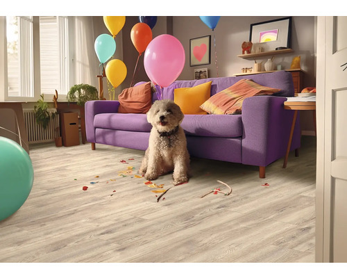 Heller Bodenbelag in Holzoptik in einem Wohnzimmer mit lila Sofa, Hund und bunten Ballons sowie Konfetti auf dem Boden.