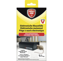 Victor Protect Home Elektronische Mausefalle für Innenanwendung, langlebig, für bis zu 100 Mäuse, benötigt vier AA Batterien.