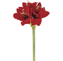 Künstliche Amaryllis am Stiel, rot.