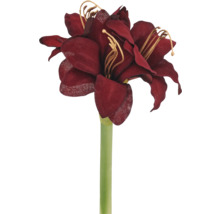 Künstliche Amaryllis mit dunkelroten Blüten aus Textil und grünem Stiel.