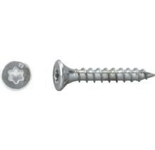 Senkkopfschraube aus Metall mit Torx-Antrieb und Vollgewinde