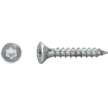 Holzschraube mit Senkkopf und Torx-Antrieb aus Metall.