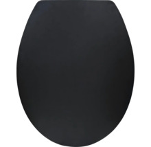 WC-Sitz in Schwarz, ovale Form, geschlossener Deckel.