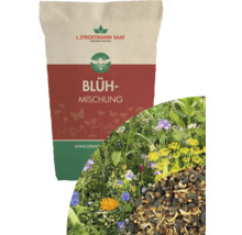 L. Stroetmann Saat Blühmischung in einer Papiertüte, mit Abbildung einer Blumenwiese und verschiedenen Samenkörnern.