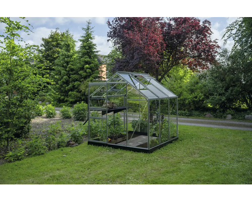 Transparentes Gewächshaus mit Aluminiumrahmen, schwarzem Fundament und Dachfenster auf einer Rasenfläche in einem grünen Garten.