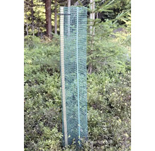 Baumschutzgitter aus Kunststoffgewebe an einem Holzpfahl zum Schutz von jungen Pflanzen im Wald.