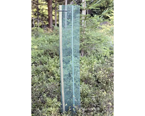Baumschutzgitter aus Kunststoffgewebe an einem Holzpfahl zum Schutz von jungen Pflanzen im Wald.