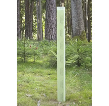 Wuchshülle für junge Bäume zum Schutz vor Wildverbiss in einem Wald stehend.