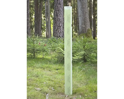 Wuchshülle für junge Bäume zum Schutz vor Wildverbiss in einem Wald stehend.