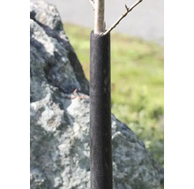 Baumschutzgitter aus schwarzem Kunststoffgeflecht für Baumstämme.