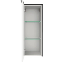 Hängeschrank für das Badezimmer mit zwei Glaseinlegeböden, Weiß, geöffnete Tür.
