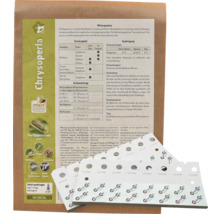 Nützlinge Florfliegenlarven Chrysoperla, 350 bis 500 Stück zur biologischen Bekämpfung von Blattläusen und Thripsen auf Pappkarten mit Anleitung.