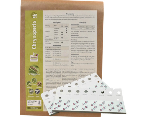 Nützlinge Florfliegenlarven Chrysoperla, 350 bis 500 Stück zur biologischen Bekämpfung von Blattläusen und Thripsen auf Pappkarten mit Anleitung.