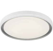 Runde Deckenleuchte mit flachem Profil und matter Abdeckung für eine gleichmäßige Lichtverteilung.