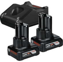 Bosch Professional Set mit zwei 12 Volt 6,0 Amperestunden Lithium-Ionen Akkus und einem Ladegerät.
