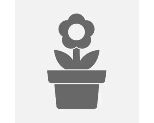 Piktogramm einer Pflanze in einem Blumentopf