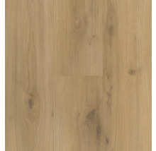 Laminatboden in Eiche-Optik mit natürlicher Holzmaserung und sichtbaren Astlöchern.