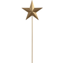Goldener Gartenstecker in Sternform aus Metall.
