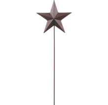 Gartenstecker mit fünfzackigem Stern aus Metall in Rostoptik auf einem langen Stab.