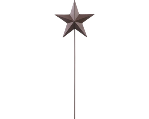 Gartenstecker mit fünfzackigem Stern aus Metall in Rostoptik auf einem langen Stab.