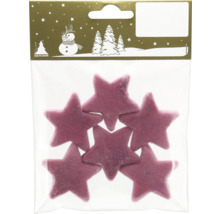 Sechs violette Sterne aus Filz zur Dekoration, verpackt in einem Klarsichtbeutel.