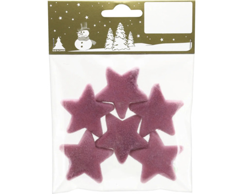Sechs violette Sterne aus Filz zur Dekoration, verpackt in einem Klarsichtbeutel.
