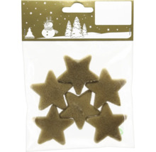 Sechs braune Filzsterne zur Weihnachtsdekoration in einer Klarsichtverpackung mit Geroma Logo.