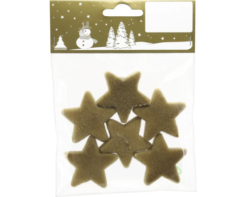 Sechs braune Filzsterne zur Weihnachtsdekoration in einer Klarsichtverpackung mit Geroma Logo.