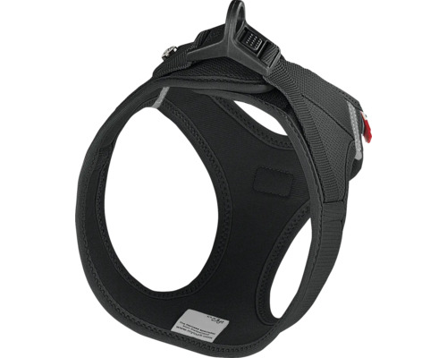 Schwarzes Hundegeschirr aus atmungsaktivem Air-Mesh-Material mit verstellbarem Verschluss und Ringen für die Leine.