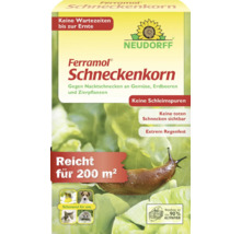 Neudorff Ferramol Schneckenkorn für 200 Quadratmeter, gegen Nacktschnecken an Gemüse und Pflanzen, regenfest und schonend für Haustiere.