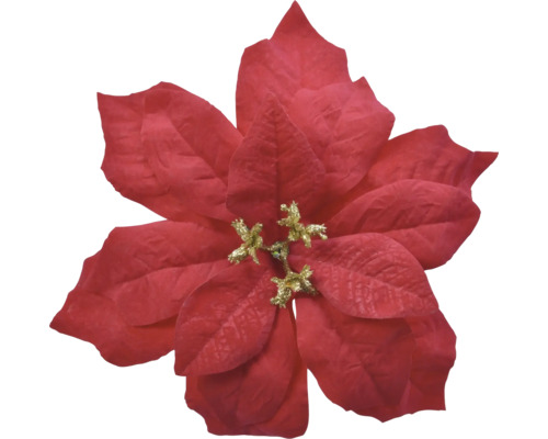 Künstlicher Weihnachtsstern in Rot mit goldenem Glitzer im Zentrum für die Weihnachtsdekoration.